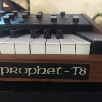 prophet t8