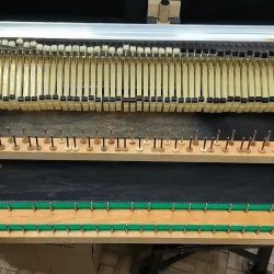 Rhodes Mark II Stage 54-Key Electric Piano 1980 - 1983 - Black Flat Top